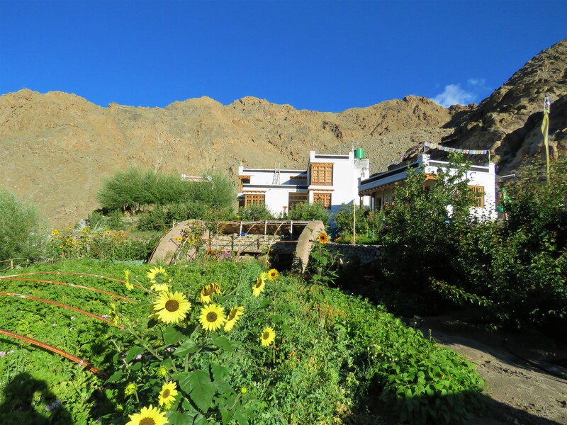 The organic garden at HIDDEN NORTH Guesthouse.