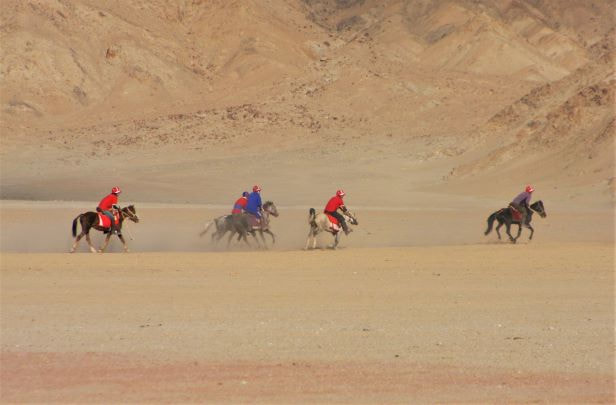 Polo practice